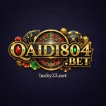 QAIDI804 Game
